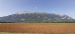 20190915_140020.jpg